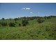 Alma Street, Gundy NSW 2337