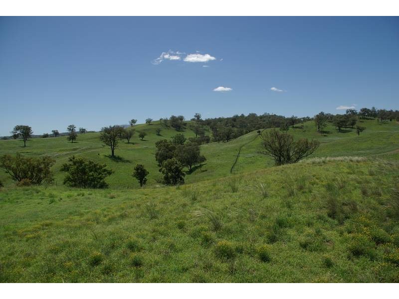 Alma Street, Gundy NSW 2337