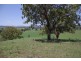 461 Timor Road, Blandford NSW 2338