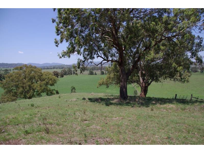 461 Timor Road, Blandford NSW 2338