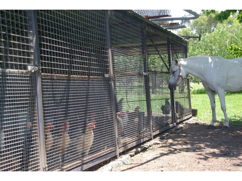 461 Timor Road, Blandford NSW 2338