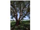 461 Timor Road, Blandford NSW 2338