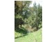 461 Timor Road, Blandford NSW 2338