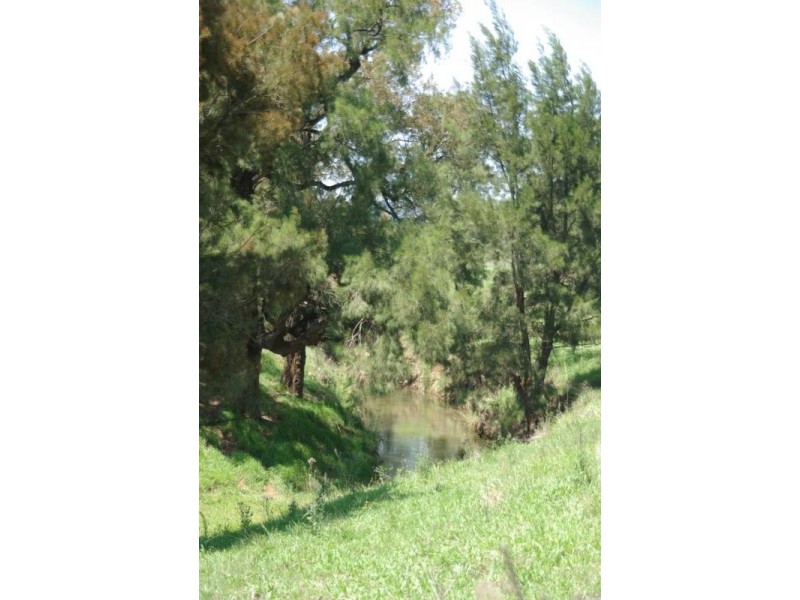 461 Timor Road, Blandford NSW 2338