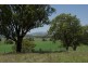 461 Timor Road, Blandford NSW 2338