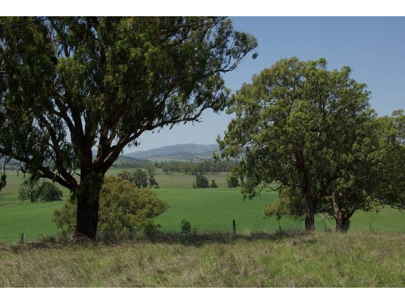 461 Timor Road, Blandford NSW 2338