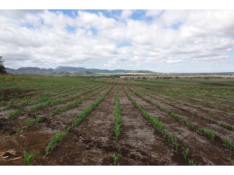 Terry Hie Hie rd, Narrabri NSW 2390