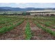 Terry Hie Hie rd, Narrabri NSW 2390