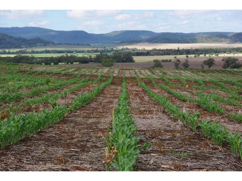 Terry Hie Hie rd, Narrabri NSW 2390