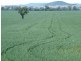 Terry Hie Hie rd, Narrabri NSW 2390
