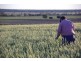 Terry Hie Hie rd, Narrabri NSW 2390