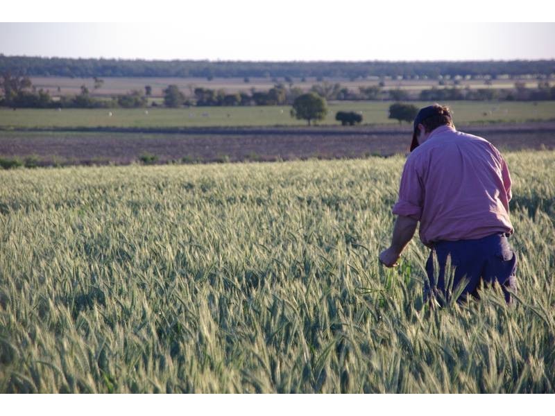 Terry Hie Hie rd, Narrabri NSW 2390