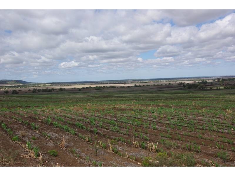 Terry Hie Hie rd, Narrabri NSW 2390