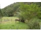239 Mountainview Road, Timor NSW 2338