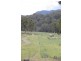 239 Mountainview Road, Timor NSW 2338