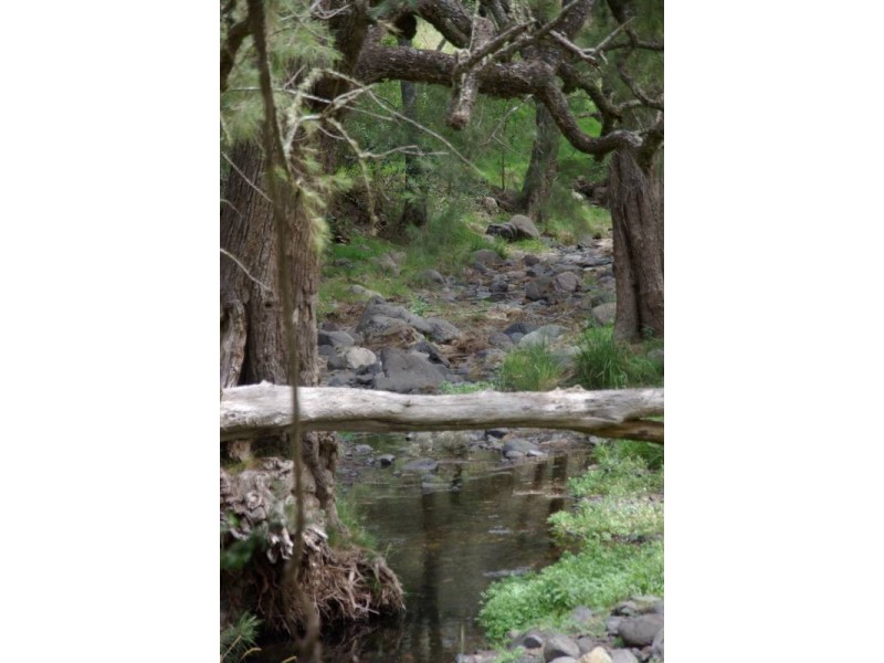 239 Mountainview Road, Timor NSW 2338