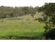 239 Mountainview Road, Timor NSW 2338