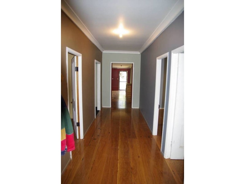 239 Mountainview Road, Timor NSW 2338