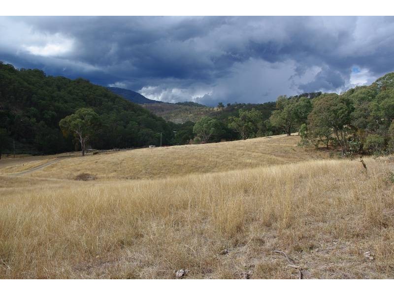 239 Mountainview Road, Timor NSW 2338