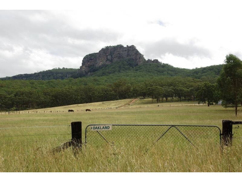 . Dry Creek, Scone NSW 2337