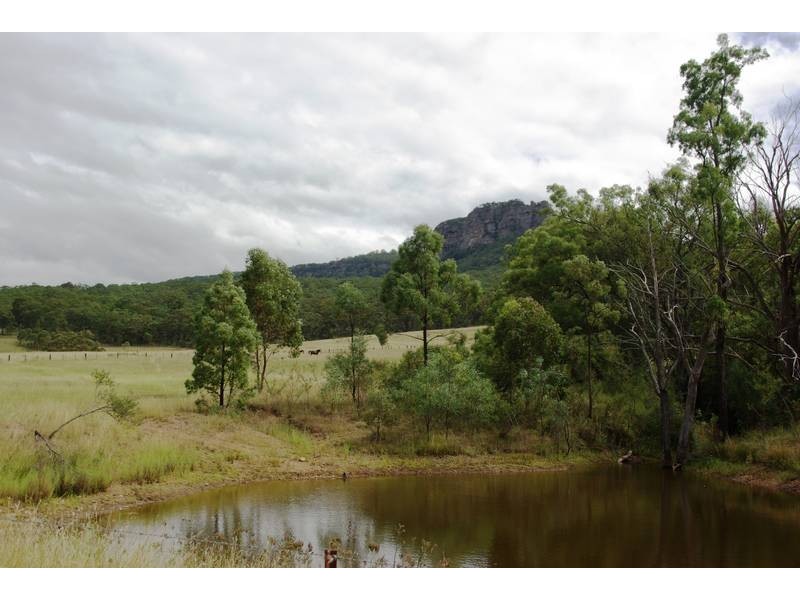 . Dry Creek, Scone NSW 2337