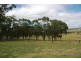 . Dry Creek, Scone NSW 2337