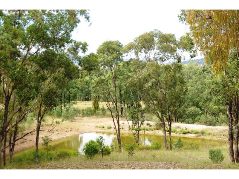. Dry Creek, Scone NSW 2337