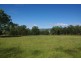 . Dry Creek, Scone NSW 2337
