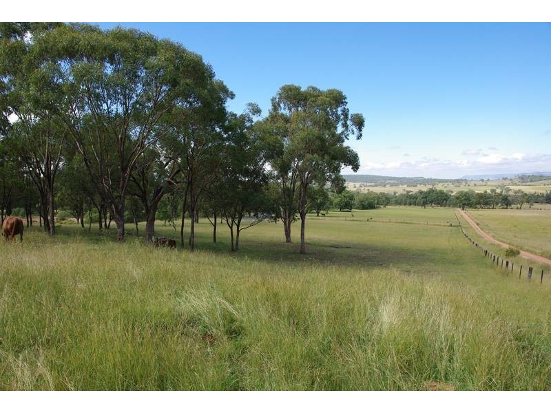 . Dry Creek, Scone NSW 2337