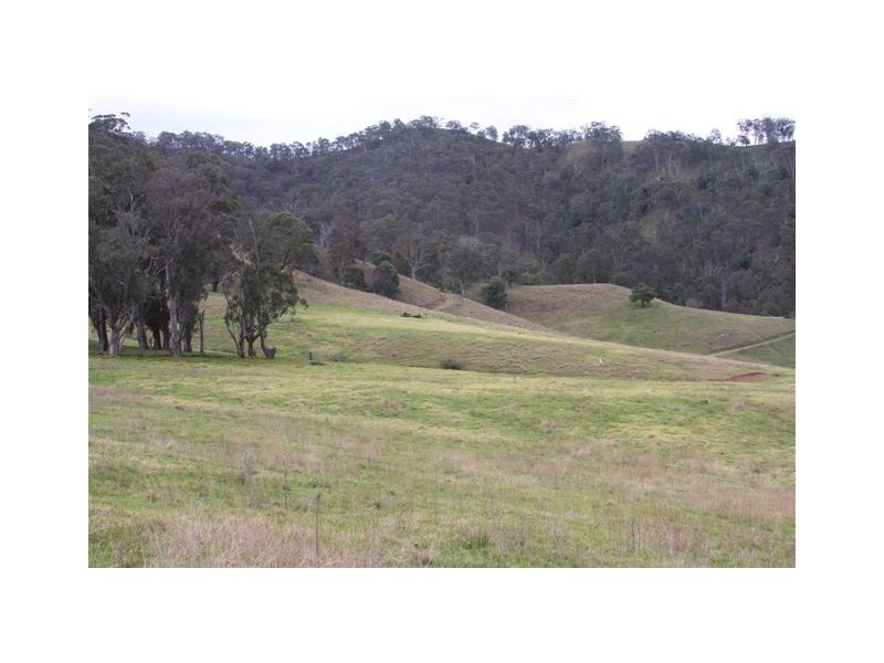 Stewarts Brook Rd, Stewarts Brook NSW 2337 the real estate agency