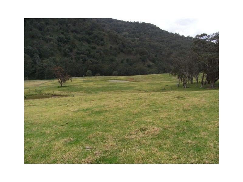 Stewarts Brook Rd, Stewarts Brook NSW 2337