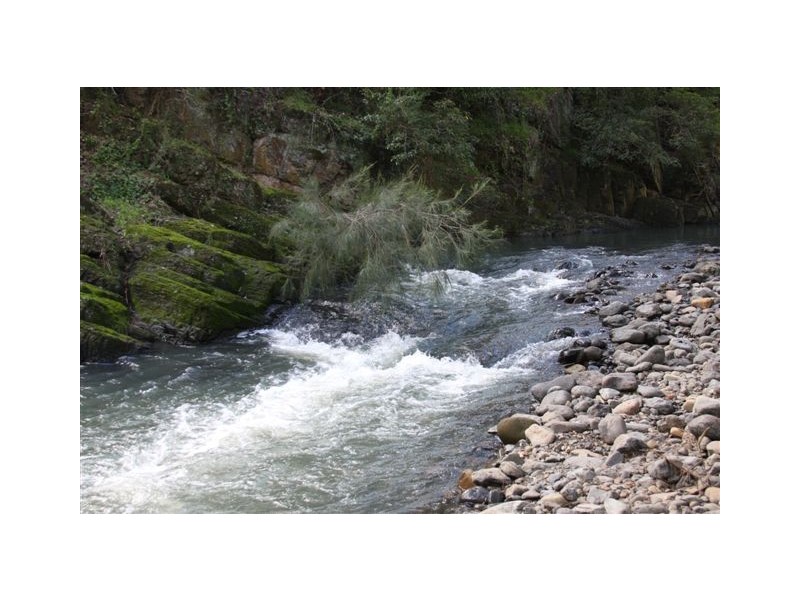 Stewarts Brook Rd, Stewarts Brook NSW 2337