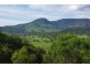 Lot 4 Mt Pleasant Estate, Murrurundi NSW 2338
