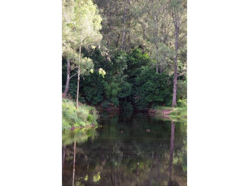 Lot 4 Mt Pleasant Estate, Murrurundi NSW 2338