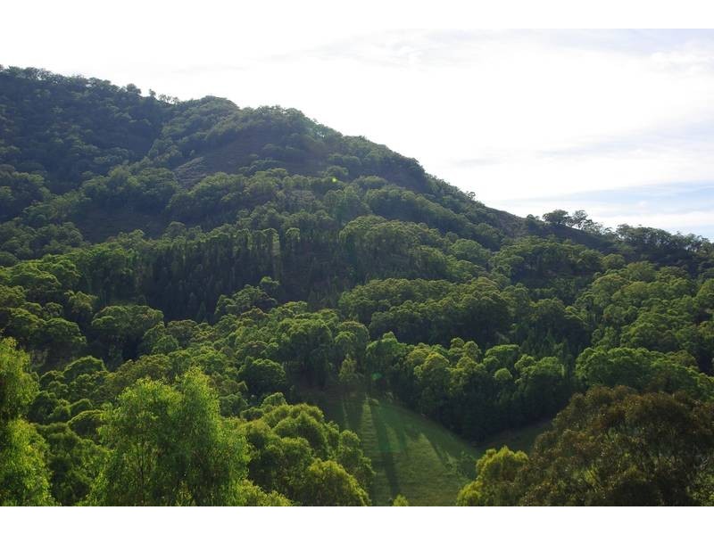 Lot 4 Mt Pleasant Estate, Murrurundi NSW 2338
