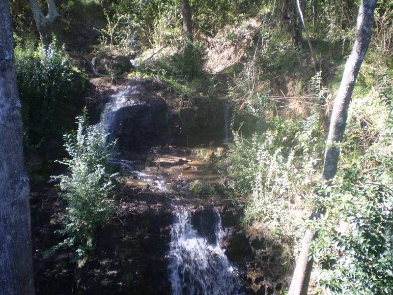 Lot 4 Mt Pleasant Estate, Murrurundi NSW 2338