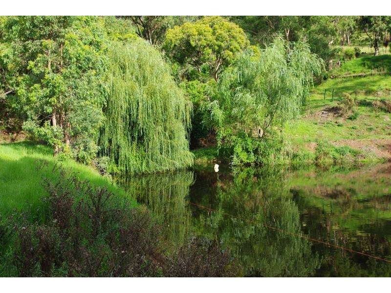 Lot 4 Mt Pleasant Estate, Murrurundi NSW 2338