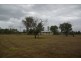 501 Rouchel Road, Aberdeen NSW 2336
