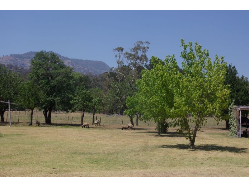 11 Bernard Street, Murrurundi NSW 2338