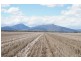 Terry Hie hie Rd, Narrabri NSW 2390
