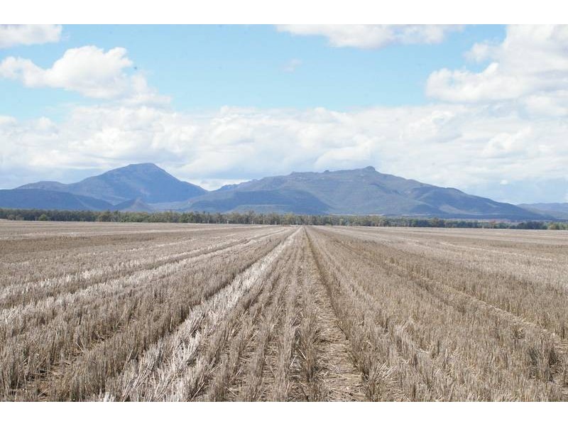 Terry Hie hie Rd, Narrabri NSW 2390