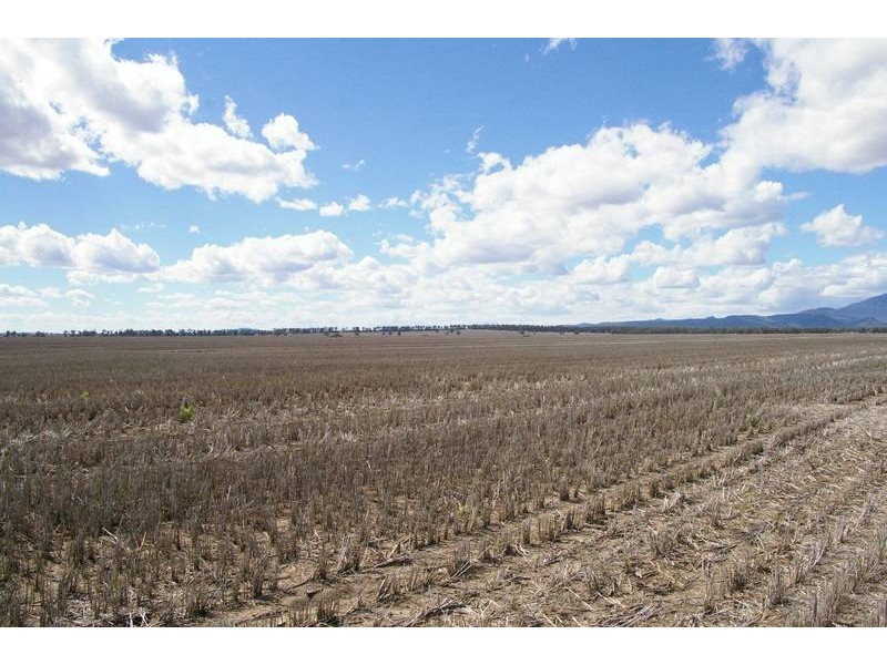 Terry Hie hie Rd, Narrabri NSW 2390