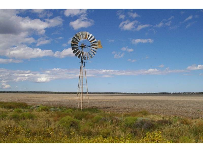 Terry Hie hie Rd, Narrabri NSW 2390