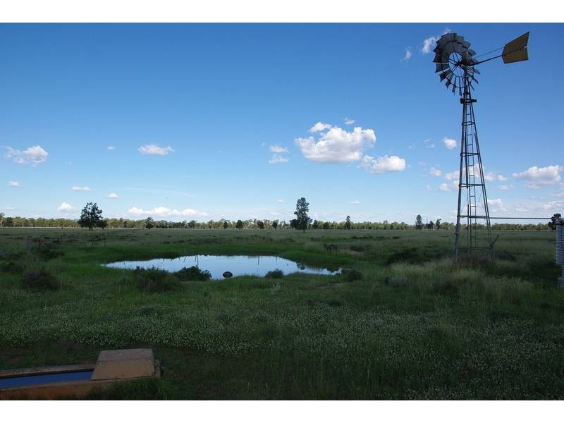Kerringle Road, Gunnedah NSW 2380