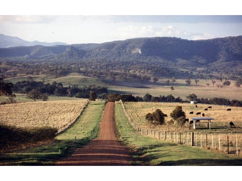 . Bunnan Rd, Scone NSW 2337