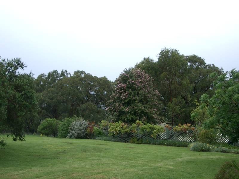 . Bunnan Rd, Scone NSW 2337