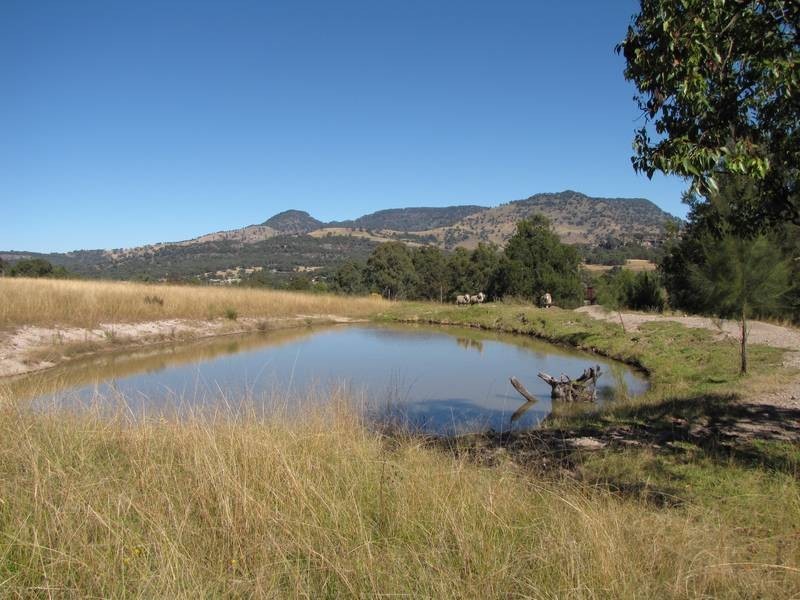 Lot Lot 9,  Henry Street, Murrurundi NSW 2338