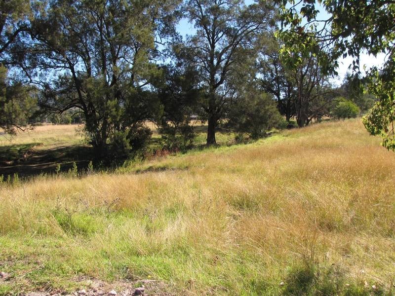 Lot Lot 9,  Henry Street, Murrurundi NSW 2338