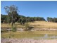 Lot Lot 9,  Henry Street, Murrurundi NSW 2338