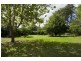 Scone NSW 2337